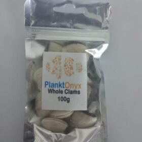 Whole Clams (100g)
