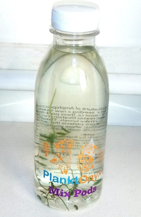 Mix Pods – Live Amphipods & Tisbe Copepods for Reef Tank Seeding & Filtration