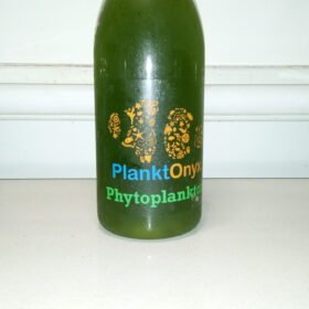 Phytoplankton Blend – Premium Live Marine Feed for Healthy Reef Aquariums
