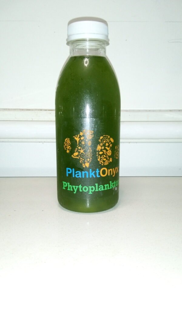 Phytoplankton Blend – Premium Live Marine Feed for Healthy Reef Aquariums
