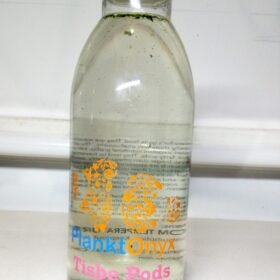 Tisbe Copepods – Premium Live Reef Food