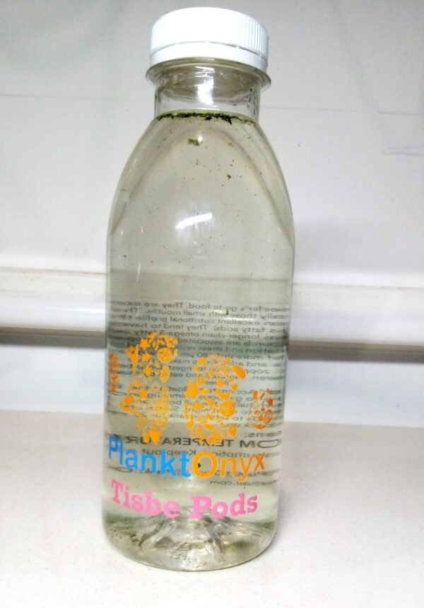 Tisbe Copepods – Premium Live Reef Food