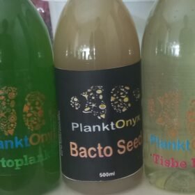 combo pack 1