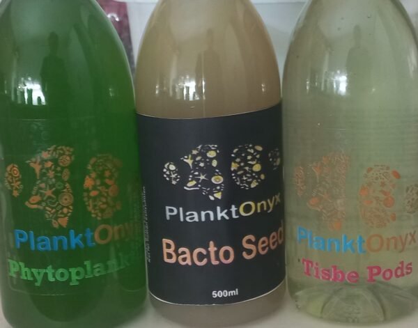 combo pack 1